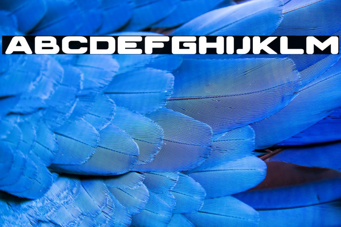 SWITCH STRECTH Example 3