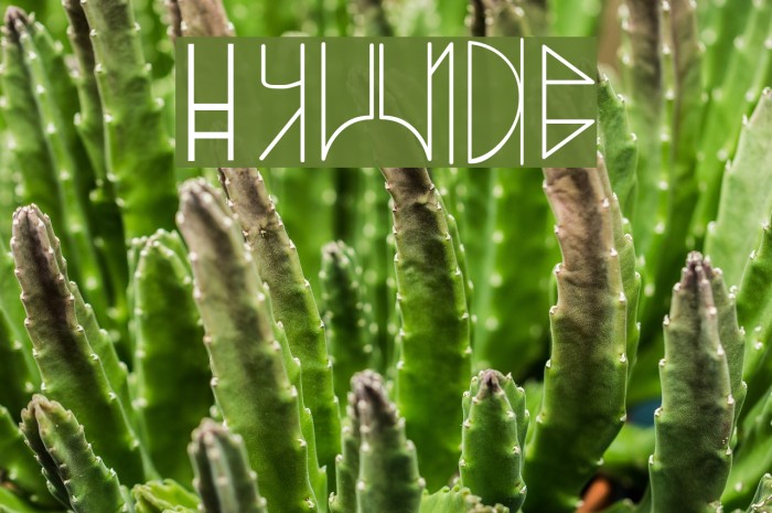 SWyavin4 Font examples