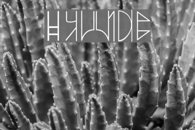 SWyavin4 Font examples