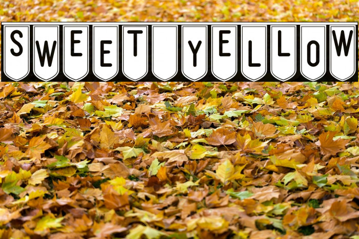 SwEeT yElLoW Example 1