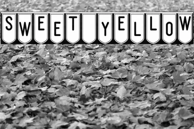 SwEeT yElLoW Font examples