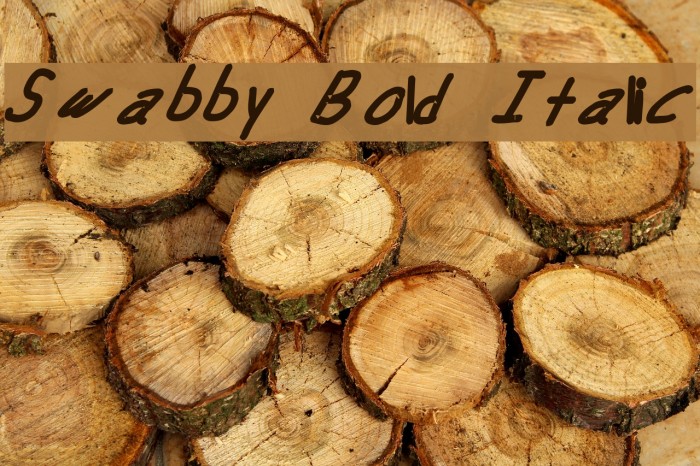 Swabby Bold Italic Font examples