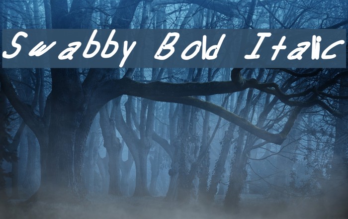 Swabby Bold Italic Font examples