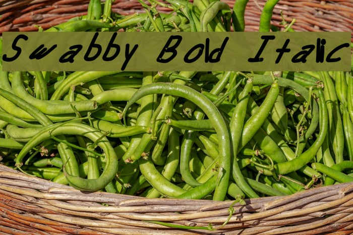 Swabby Bold Italic Font examples