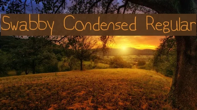 Swabby Condensed Regular Example 2