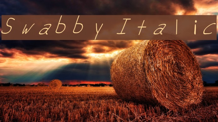 Swabby Italic Font examples