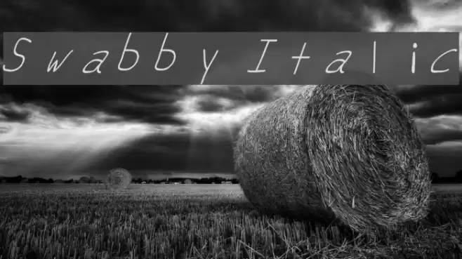 Swabby Italic Font examples