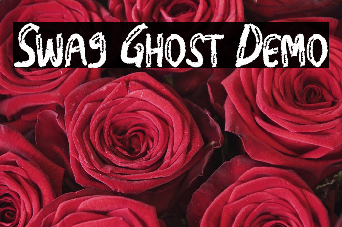 Swag Ghost Demo Example 1