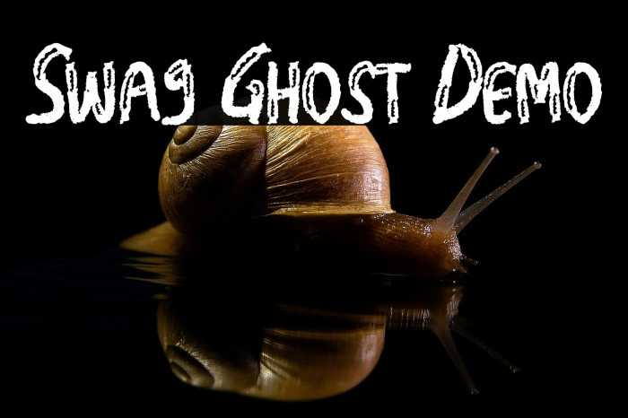 Swag Ghost Demo Example 3