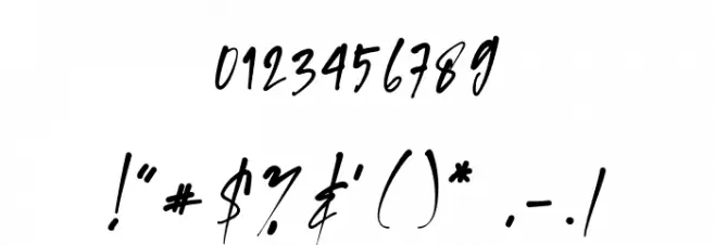 SwagSignature Font OTHER CHARS