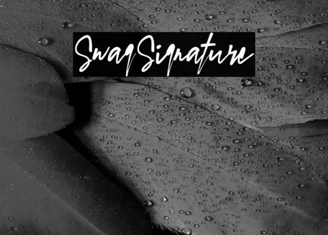 SwagSignature Font examples