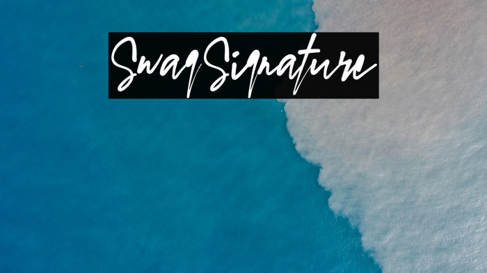 SwagSignature Example 2