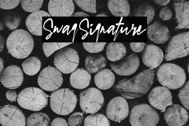 SwagSignature Font examples