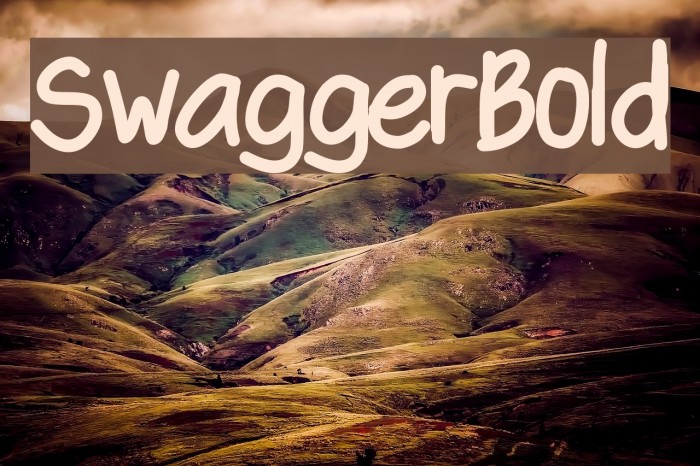 SwaggerBold Polices examples