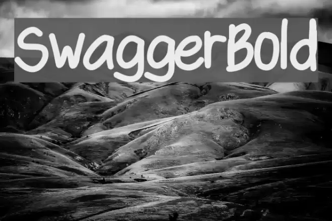 SwaggerBold Polices examples