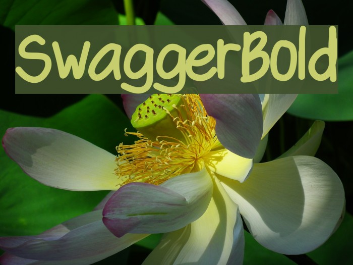 SwaggerBold Polices examples