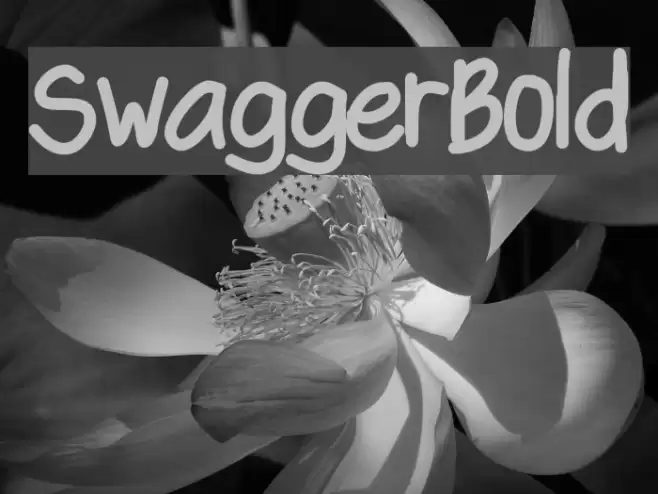 SwaggerBold Polices examples
