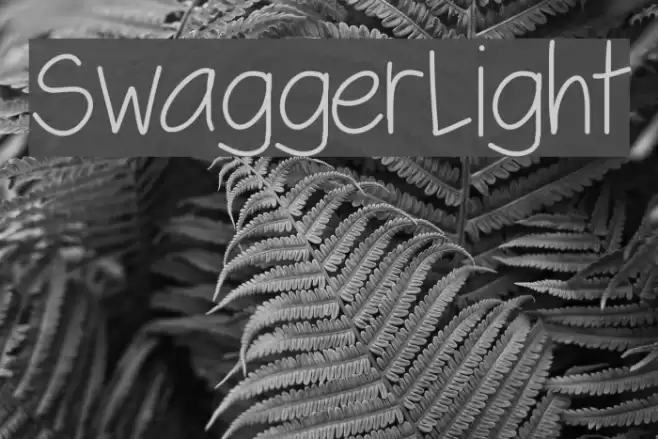 SwaggerLight Font examples