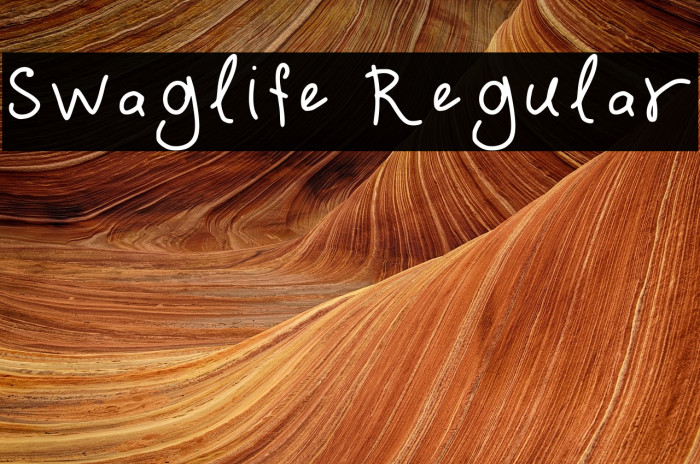 Swaglife Regular Example 1