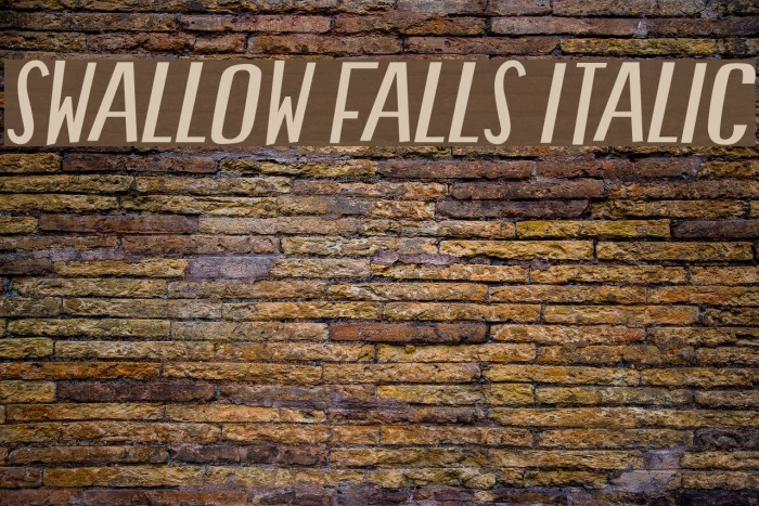 Swallow Falls Italic Font examples