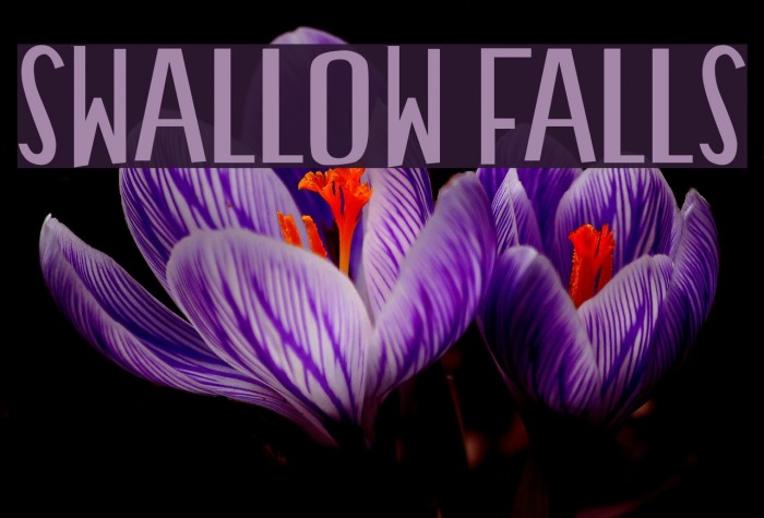 Swallow Falls Font examples