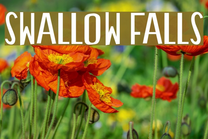 Swallow Falls Font examples