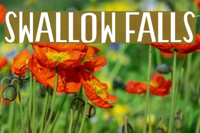 Swallow Falls Example 2