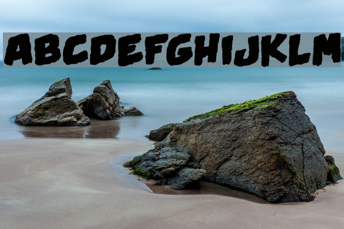 Swamp Black Font examples