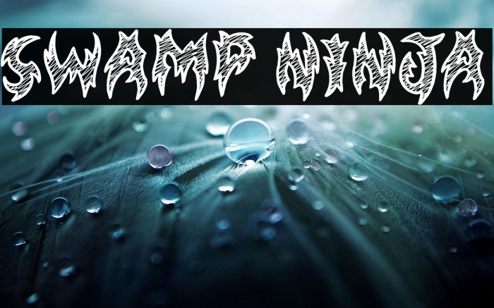 Swamp Ninja Example 2