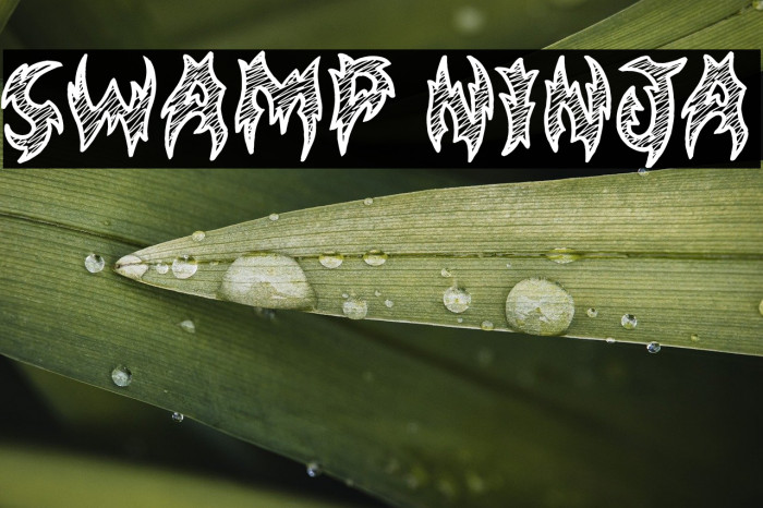 Swamp Ninja Example 3