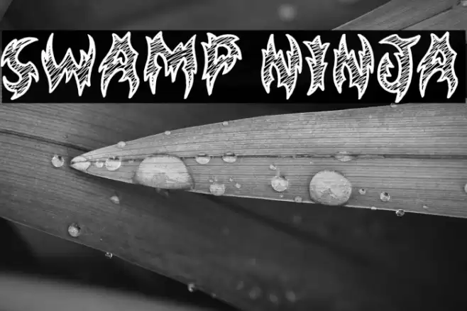 Swamp Ninja Caratteri examples