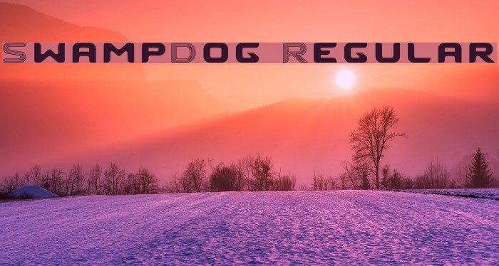 SwampDog Regular フォント examples