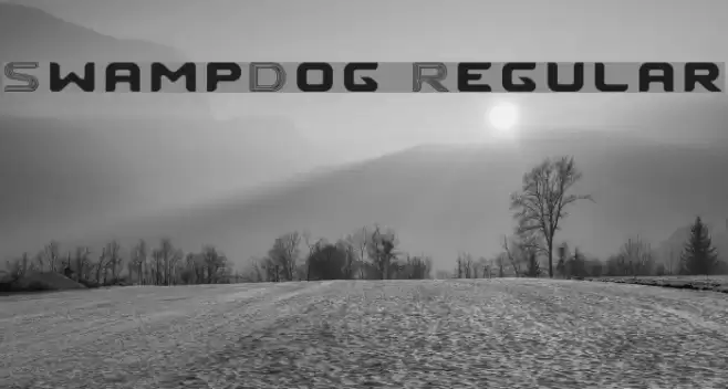 SwampDog Regular フォント examples