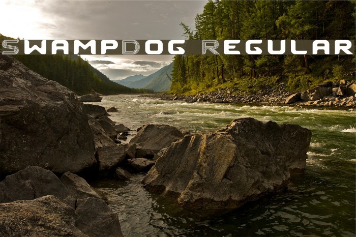 SwampDog Regular フォント examples