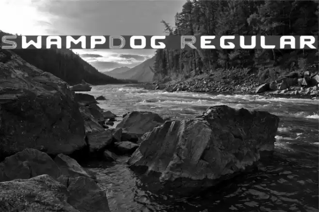 SwampDog Regular フォント examples