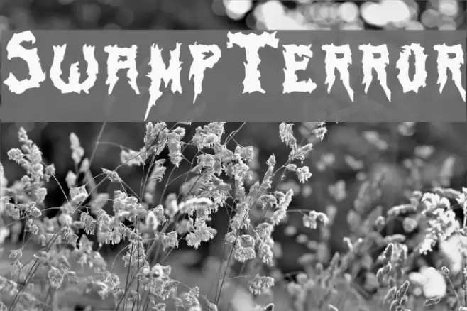 SwampTerror Font examples