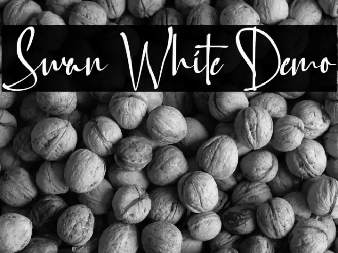 Swan White Demo フォント examples