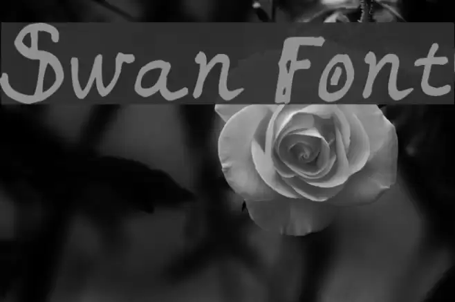 Swan Font examples