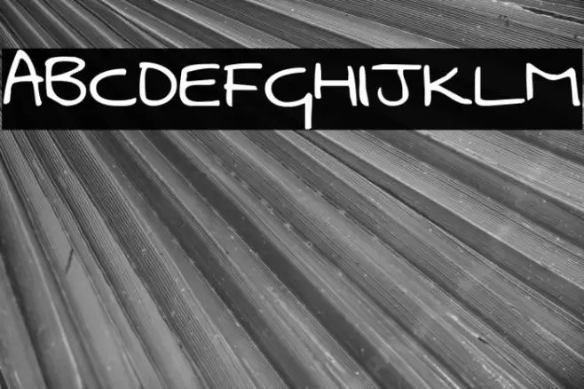 Swanky and Moo Moo Font examples