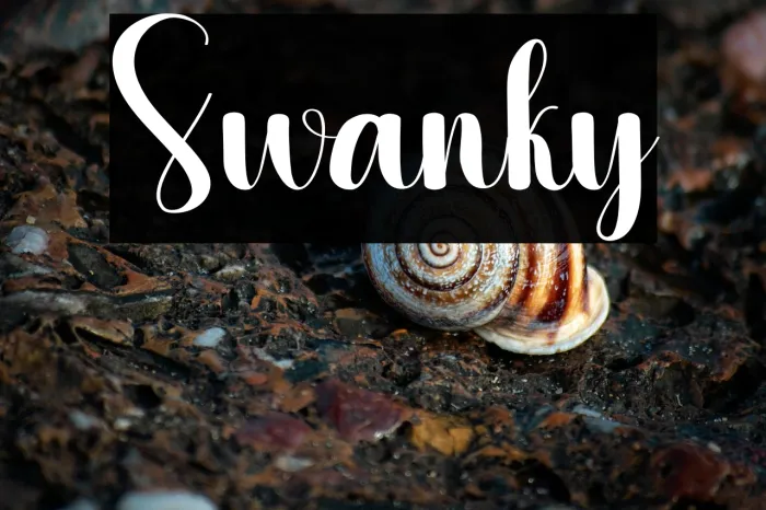 Swanky Example 1