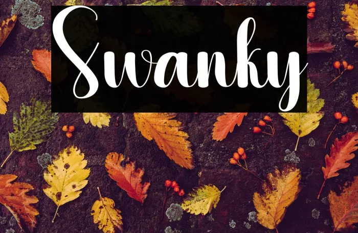 Swanky Example 2