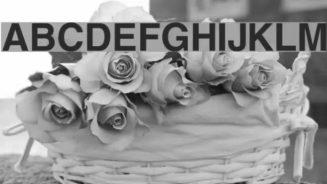 Swansea Bold Font examples