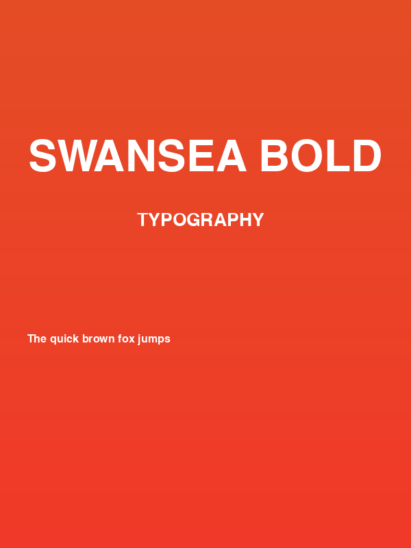 Swansea Bold Poster