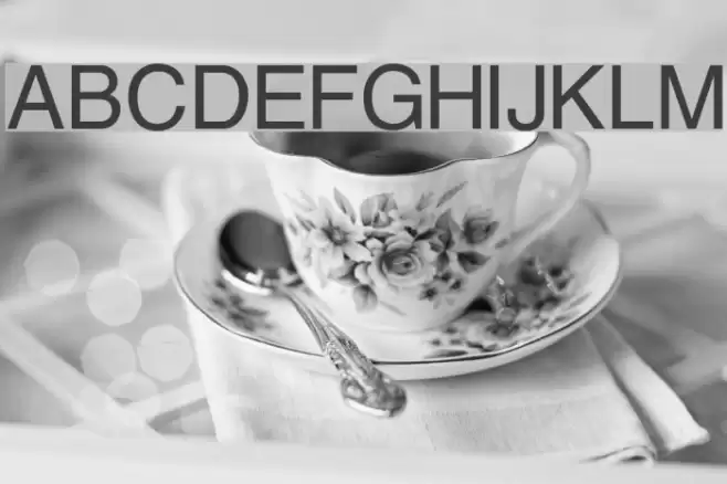 Swansea Font examples