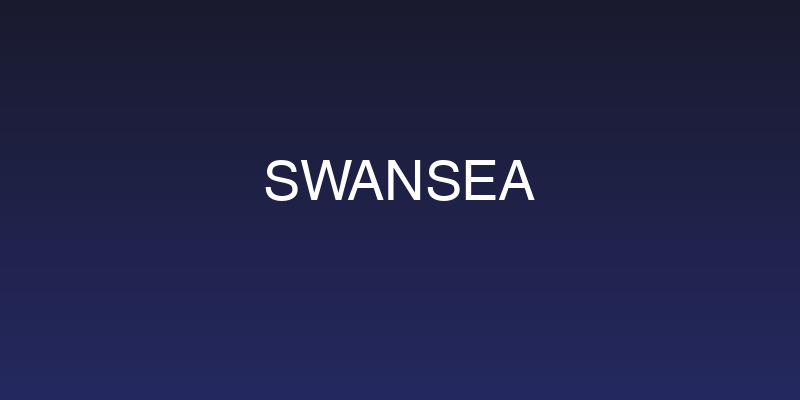 Swansea Social Header