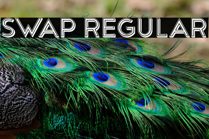 Swap Regular Example 2