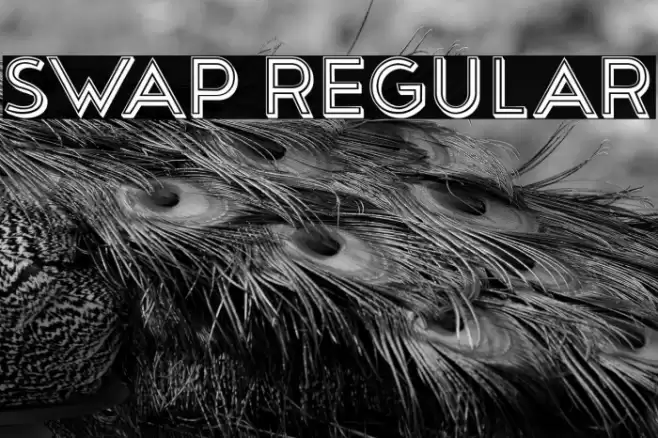 Swap Regular Font examples