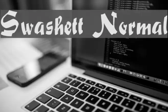Swashett Normal Font examples