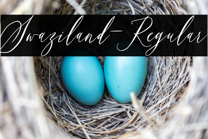 Swaziland-Regular Example 1