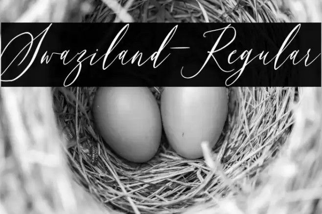 Swaziland-Regular Font examples